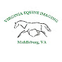 Virginia Equine Imaging logo