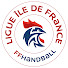 1m8Jaxp3hBg-channel-avatar-Ligue IDF de Handball