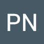 PN 195