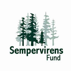 Sempervirens Fund