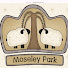 YNo5ODxx7ms-channel-avatar-Moseley Park