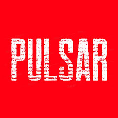 Pulsar net worth