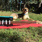 Clay Clark