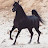 @hishamahmadb9251