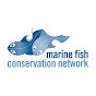 Marine Fish Conservation Network logo