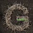 6DqEErb3Jws-channel-avatar-Grounded Permaculture