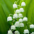 @jessicafavors4120 Avatar