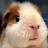 youtube avatar