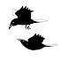 -nhZR6npykw-channel-avatar-Erik Normark