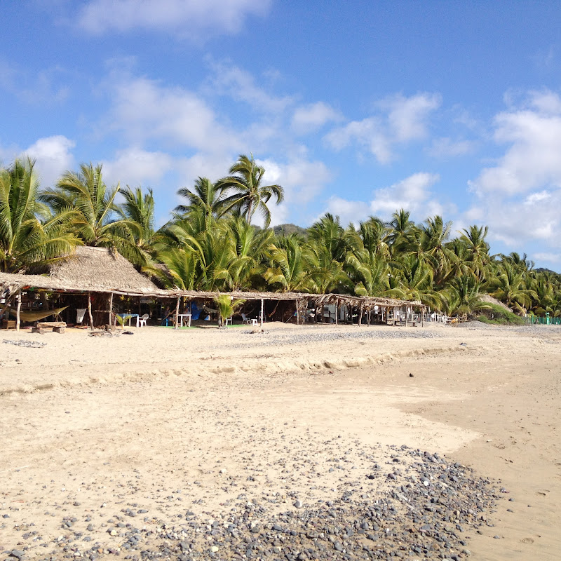 Visit LaManzanilla