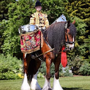 DyfedShireHorse