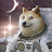 @dogecoin1134