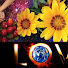FJin-vXO-I0-channel-avatar-The Healthy Life