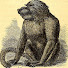 vDEXDwv8PnI-channel-avatar-Mon Cul