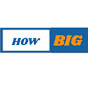 HOW BIG IS logo