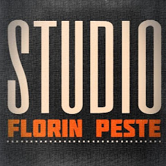 Florin Peste Records net worth