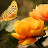 @ranganath3445ify