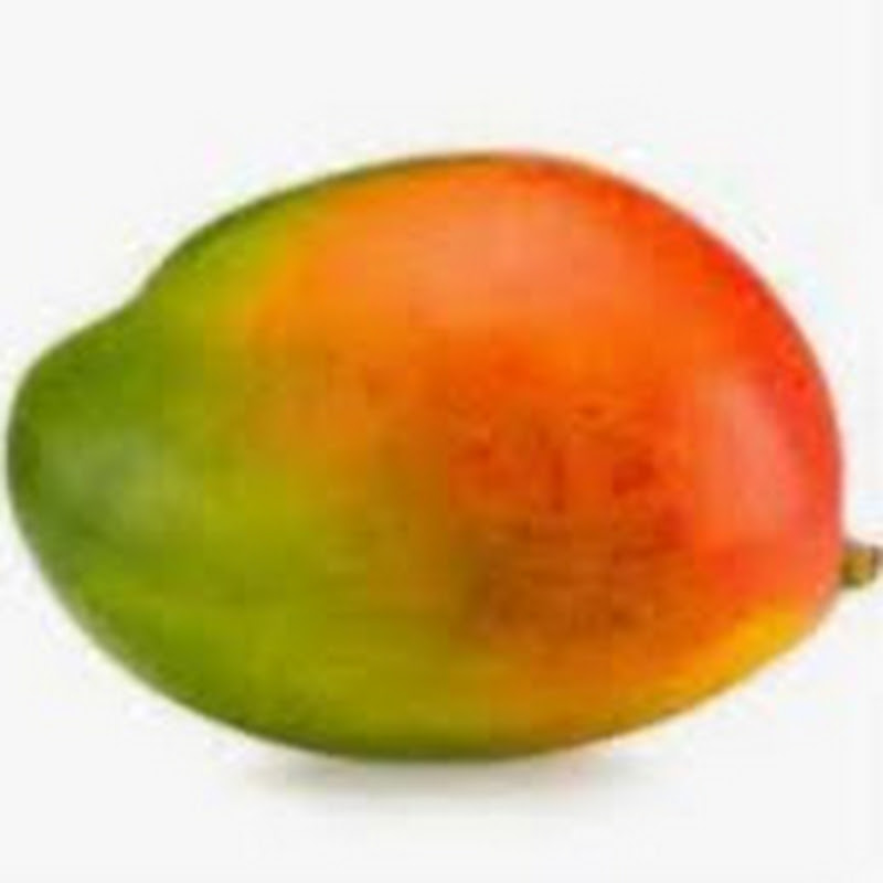 mangosmooze