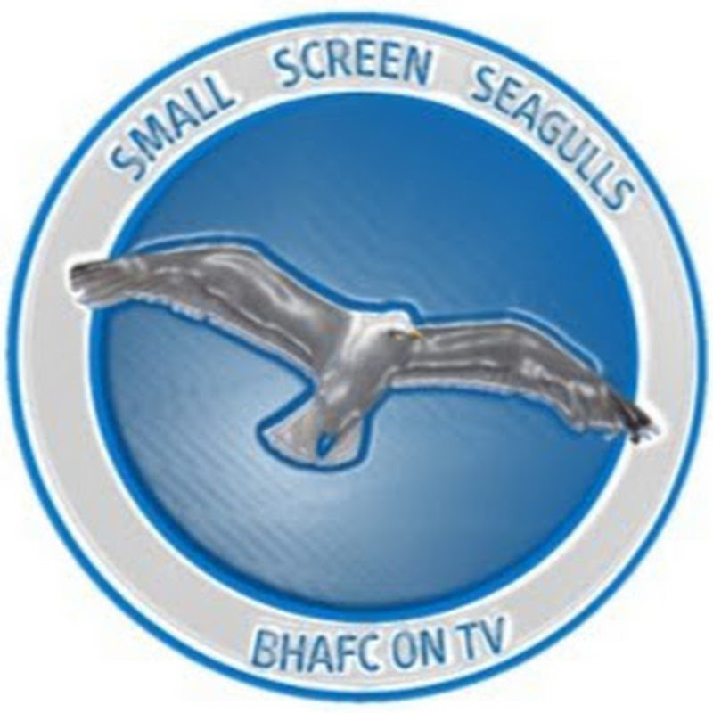 Small Screen Seagulls