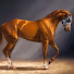 JwWYzRXzUtg-channel-avatar-Vintage North American Horse Racing