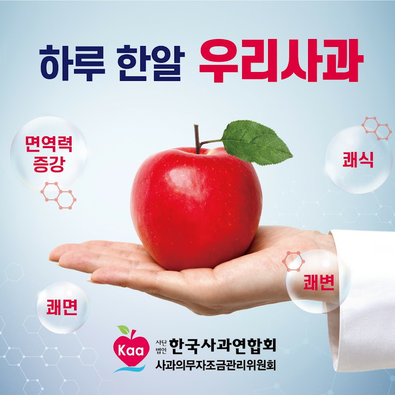 한국사과연합회 KOREA APPLE ASSOCIATION Logo