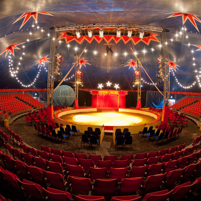Zippos Circus TV icon