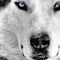 EmovinOP3_M-channel-avatar-chaucer94
