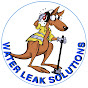 Water Leak Solutions logo