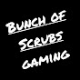 Bunch of Scrubs logo