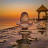 @parveenkumar9572