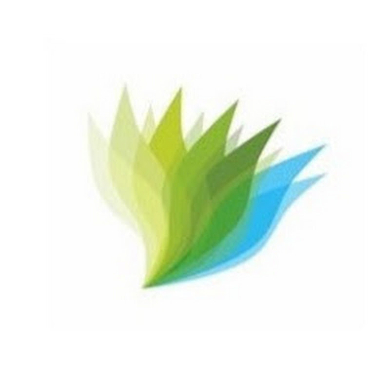 Webigo Inc.