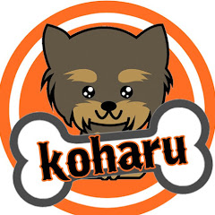 koharu