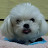 @ErnestShin