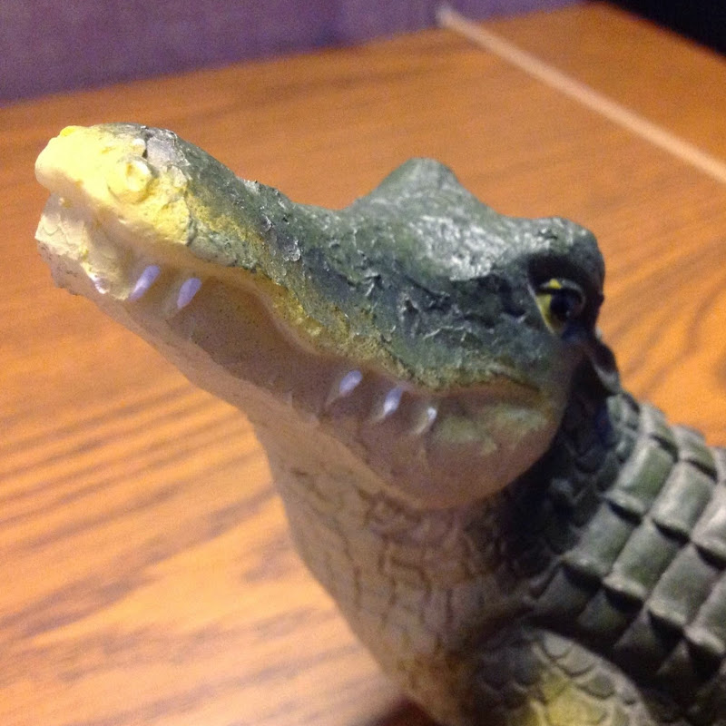 Randall G icon