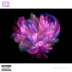 Lotus Juice