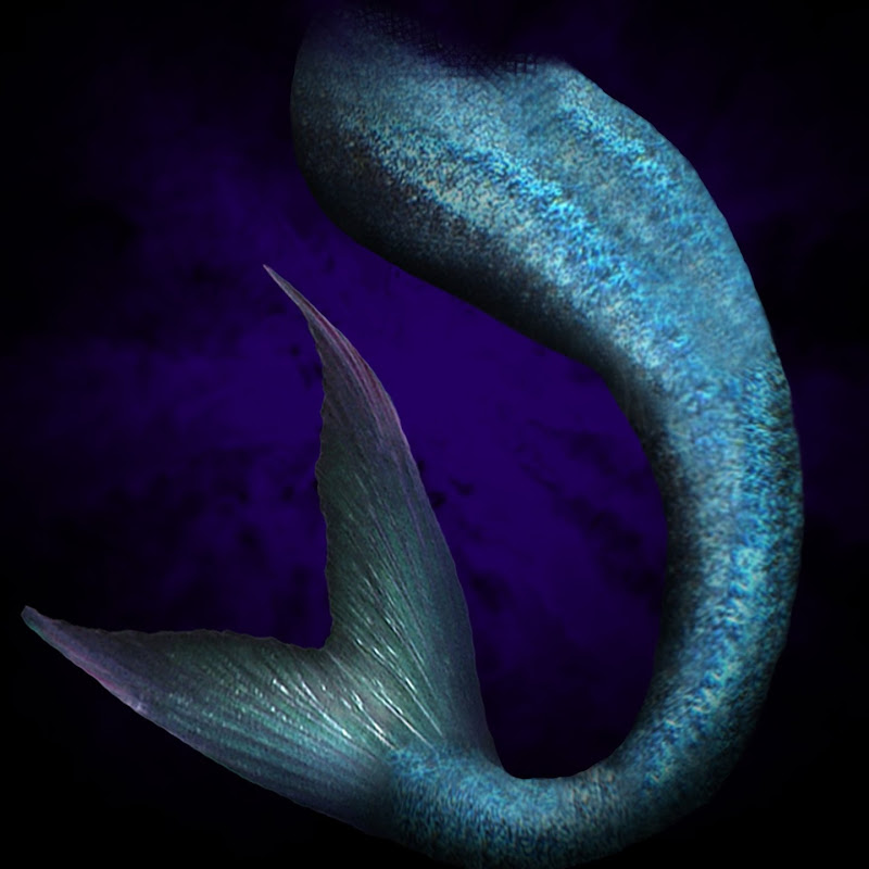 TheMermaidswimmer