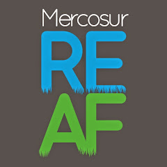 REAF MERCOSUR