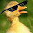 @duckys_on_quack's avatar