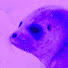 RPAjmmXqxeE-channel-avatar-virgOyodA