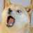 @user-ir4ek4vs3h