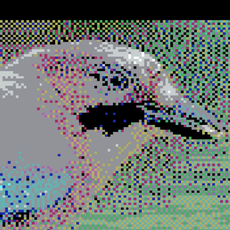 DraxNorix