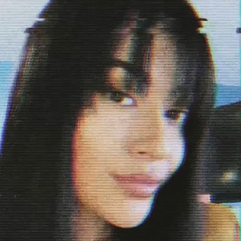 Pamela ChuVlogs