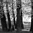 f_0Ahu8GFi0-channel-avatar-The Human Camcorder
