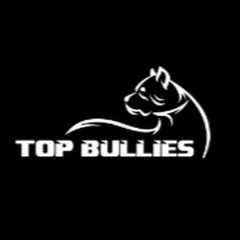 Top Bullies avatar