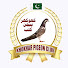 kNPl6YrNGHA-channel-avatar-Khokhar Pigeons Club
