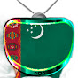 Turkmen Vid logo