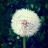 @ultrasounds6716