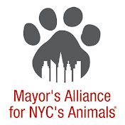 Mayors Alliance for NYCs Animals