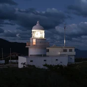 藤井聡