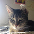 Woa0CHsJaTE-channel-avatar-Audrey H.